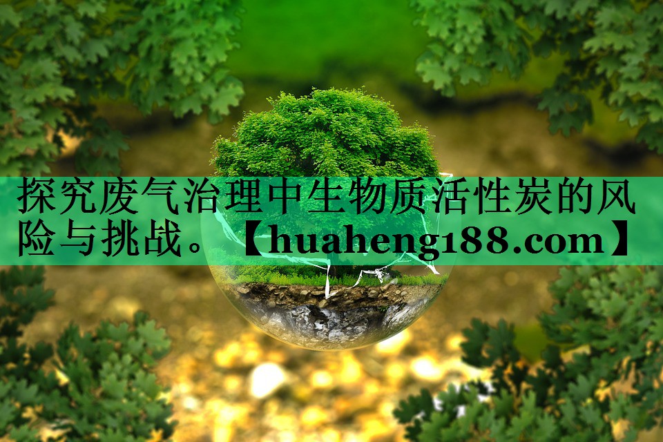 探究废气治理中生物质活性炭的风险与挑战。