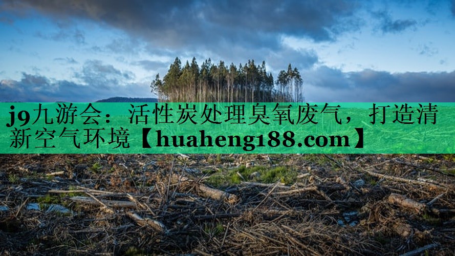 j9九游会：活性炭处理臭氧废气，打造清新空气环境