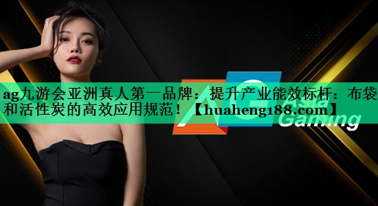 提升产业能效标杆：布袋式和活性炭的高效应用规范！